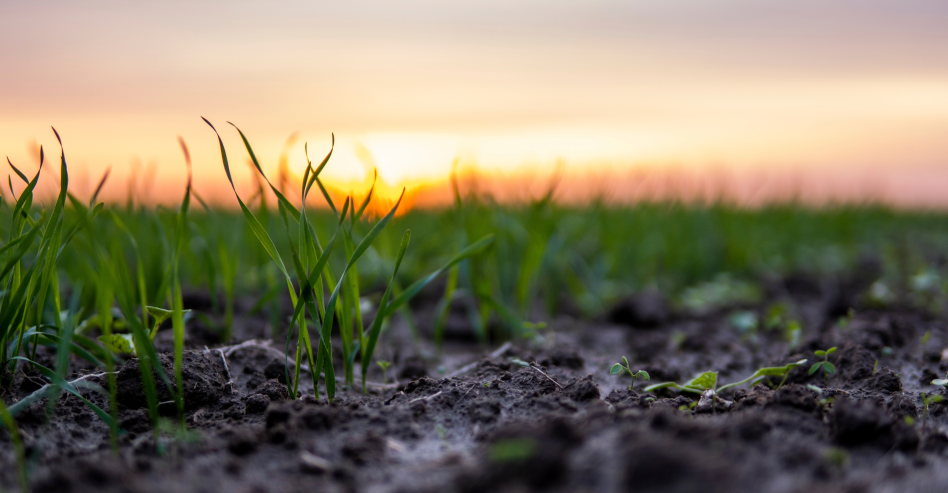 Webinar - Saving Soil: How farmers are closing the nutrient gap ...